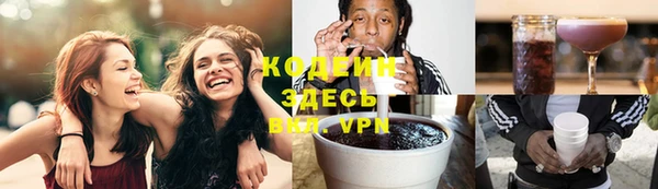 индика Бугульма