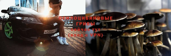 хмурый Бронницы