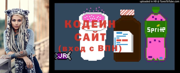 индика Бугульма