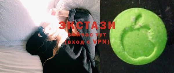 индика Бугульма