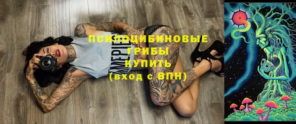 хмурый Бронницы