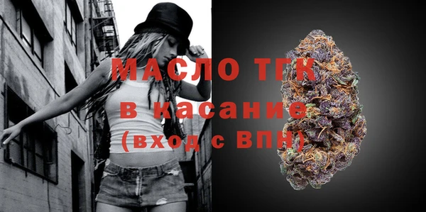индика Бугульма