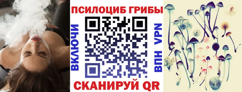Псилоцибиновые грибы Psilocybine cubensis  Вичуга 